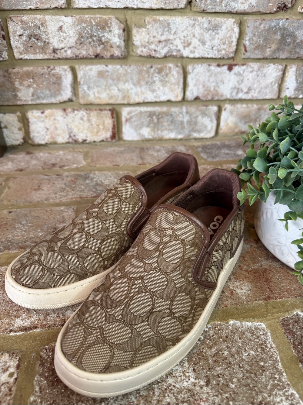 Coach | Tan/Brown Signature Slip-On Sneakers | 8